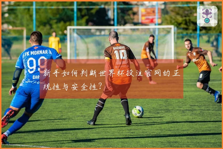 新手如何判断世界杯投注官网的正规性与安全性？