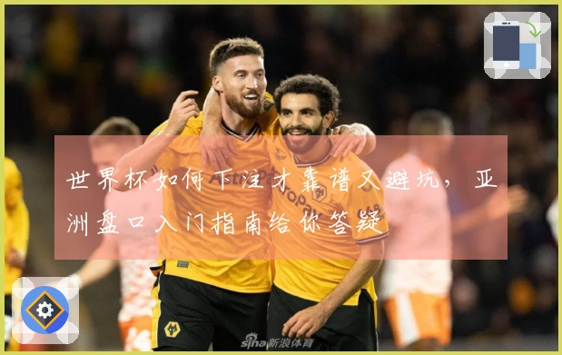世界杯如何下注才靠谱又避坑，亚洲盘口入门指南给你答疑