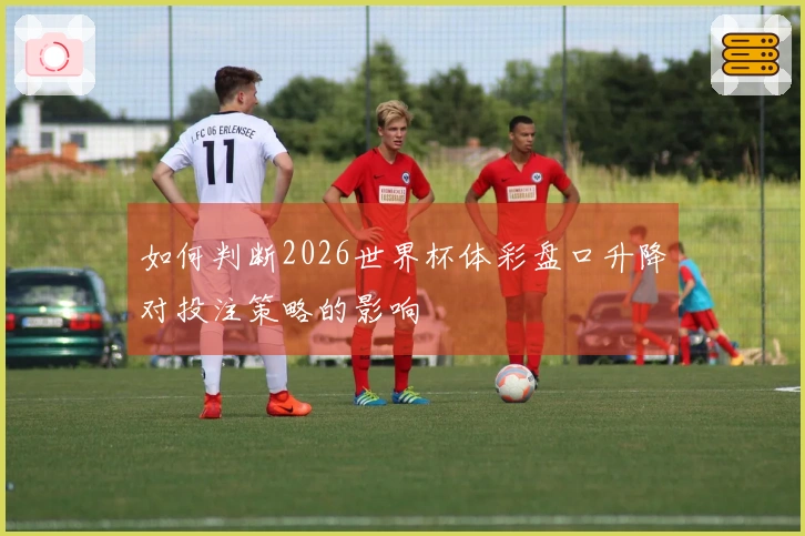 如何判断2026世界杯体彩盘口升降对投注策略的影响