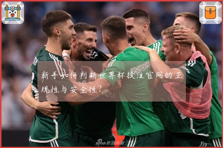 新手如何判断世界杯投注官网的正规性与安全性？